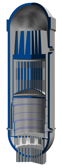 Reactor pressure vessel in a BWR