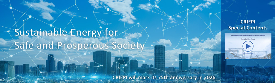 Central Research Institute of Electric Power Industry