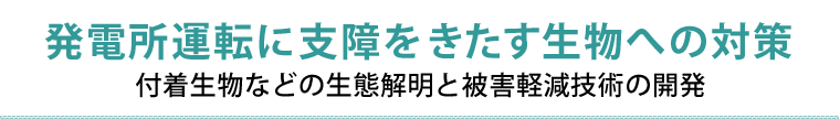 発電所運転に支障をきたす生物への対策