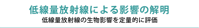 低線量放射線による影響の解明